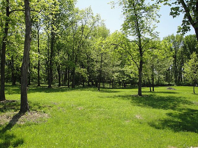 2nd image of 16301 Lakewood Path