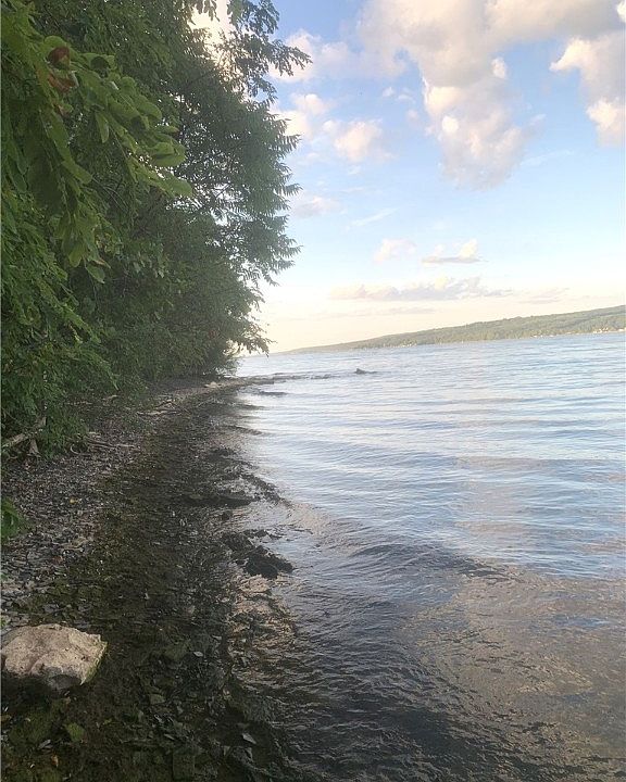 2nd image of Hunt Rd #4