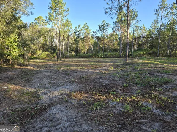 600 Alton Lawson Rd, Adrian, GA 31002