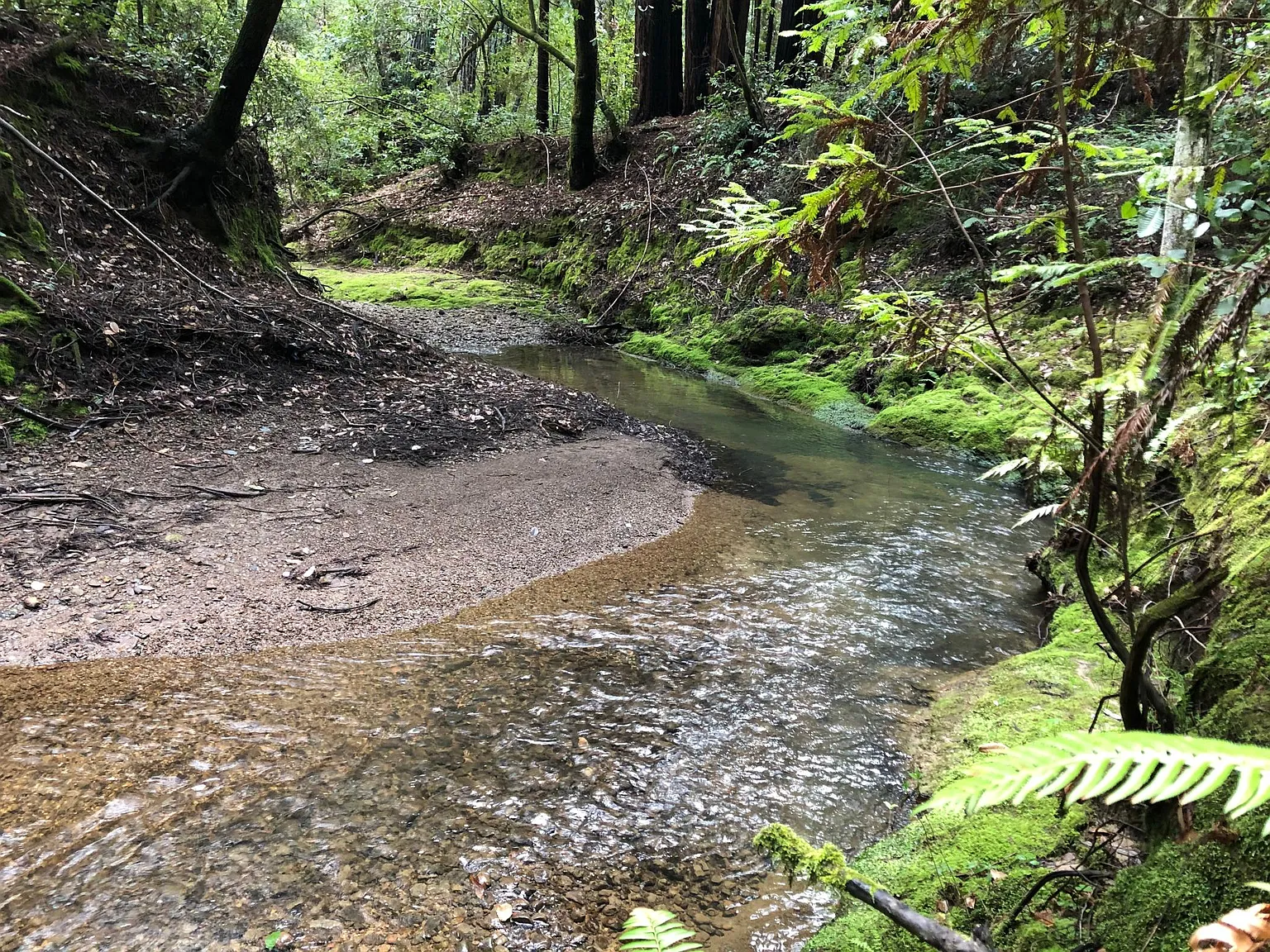 1 Big Basin Way — Photo 2