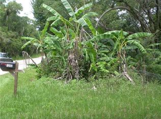 1202 Horseshoe Creek Rd, Davenport, FL 33837