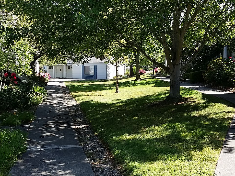 Central Lawn area