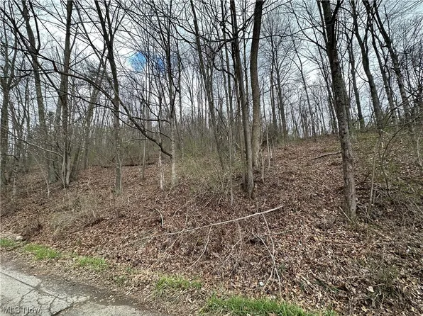 Rinehart Rd, Wallace, WV 26448