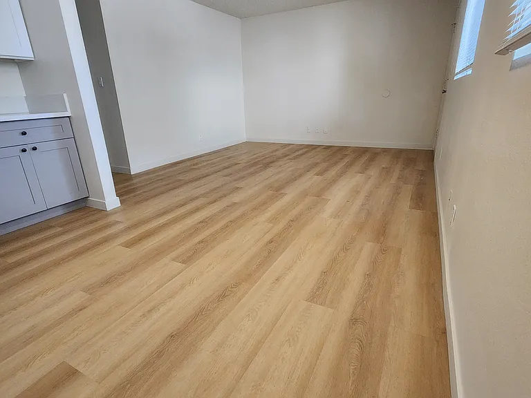 1630 S Gramercy Pl #1 — Photo 5