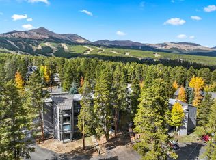 1127 Ski Hill Rd Unit 94, Breckenridge, CO 80424