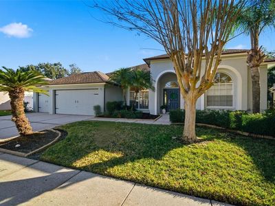 4406 River Overlook Dr, Valrico, FL, 33596