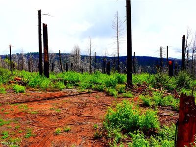 0B Stephens Ridge Rd, Berry Creek, CA, 95916