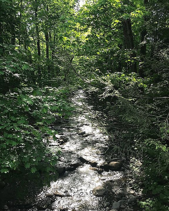 18 Green River Rd, Greenfield, MA 01301 Zillow