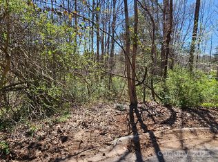 0 Gray Ct #56 & 55, Rutherfordton, NC 28139