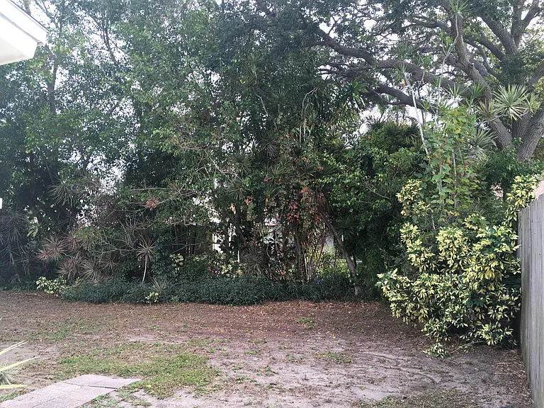 back yard