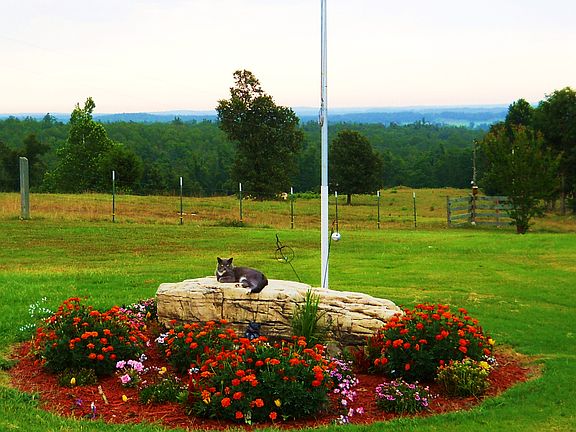 4th image of 969 Deer Bend Trl