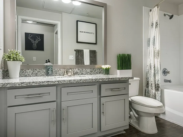 Luxurious Bathroom