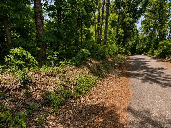 4170 Cr, Laneville, TX 75667