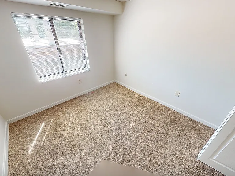 16 Elmer Street — Photo 6