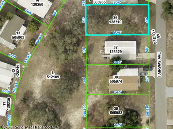 12548 Fairway Ave, Brooksville, FL 34613