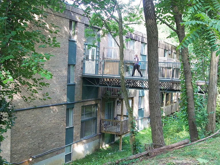 Clifton Woods — Photo 2