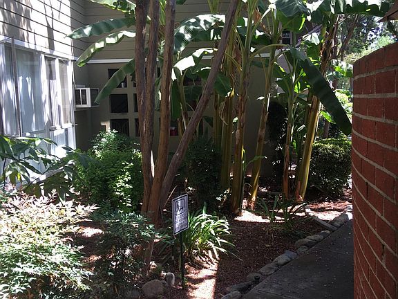 3rd image of 1025 N Euclid Ave