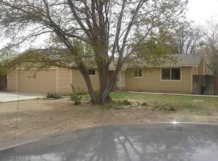 136 Roughing It Rd, Dayton, NV 89403