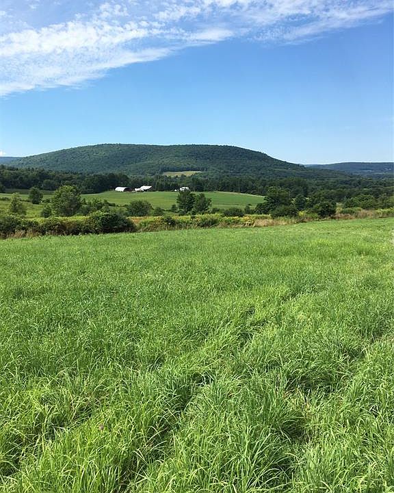 2nd image of 60 Hartz Rd