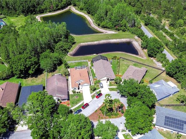 4503 Lace Cascade Ct, Lutz, FL 33558