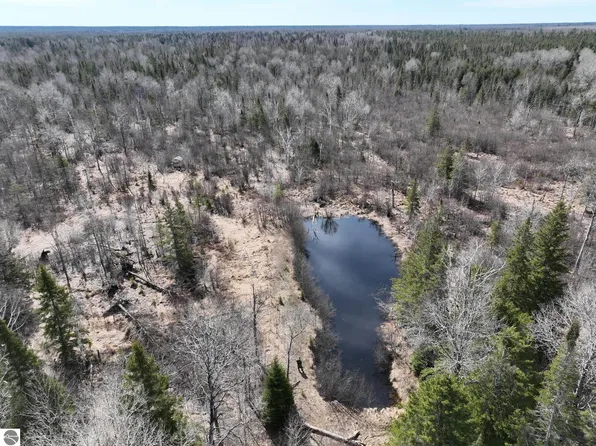 V/l8669 W #M-28, Eckerman, MI 49728