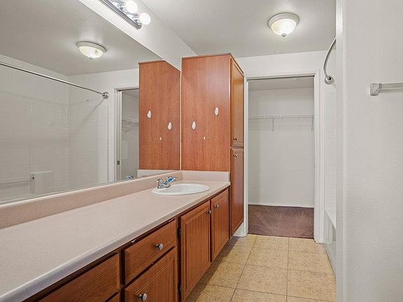 Bath & Walk in closet in Master Bedroom