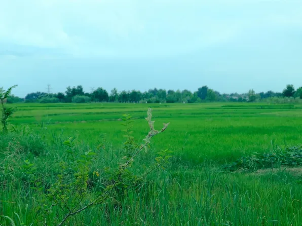 202 W Highway 90, Iowa, LA 70647