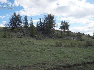 1022 Walls St, Hartsel, CO 80449