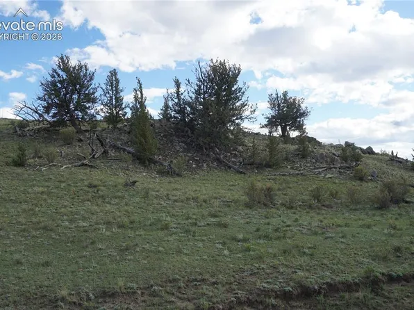 1022 Walls St, Hartsel, CO 80449