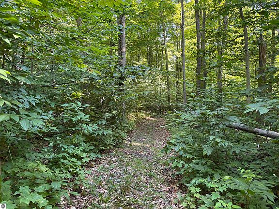 5th image of 0 Musser Rd.