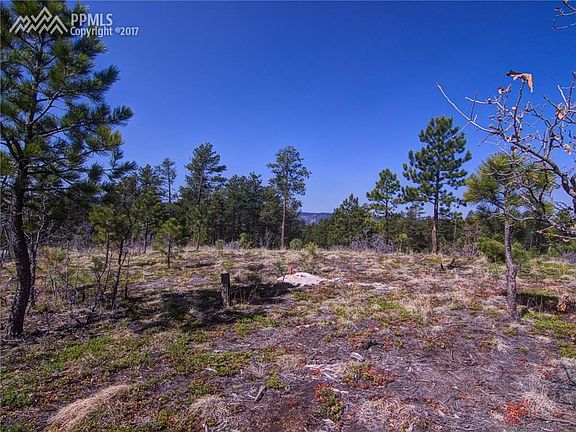 4th image of 1385 Fremont Dr