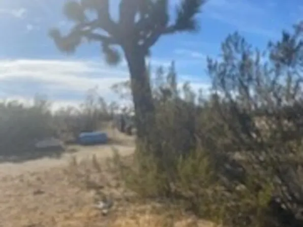 6000 140th St W, Rosamond, CA 93560