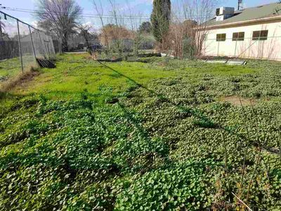 2490 Altoga Ave, Tracy, CA, 95376