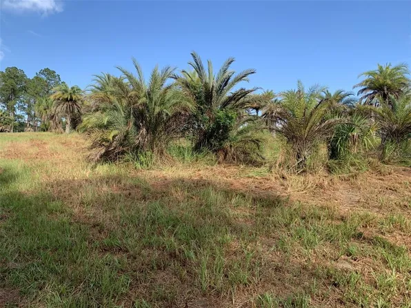 DAN BROWN HILL ROAD LOT 0020, BROOKSVILLE, FL 34602