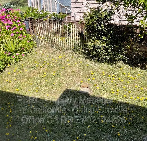 533 Silver Leaf Dr — Photo 20