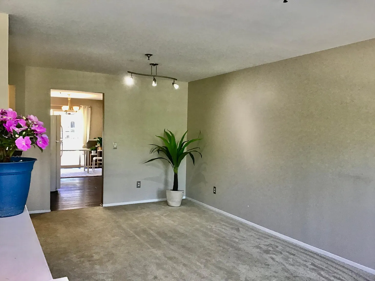164 Park Green Dr — Photo 3
