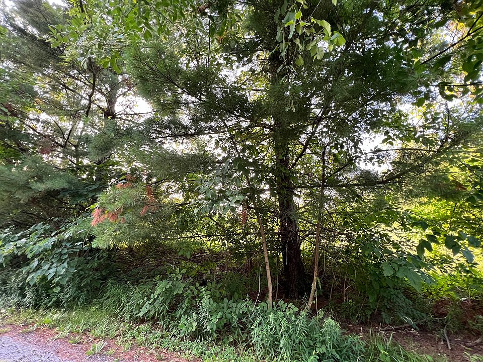 2nd image of 7208 Lakeside Dr