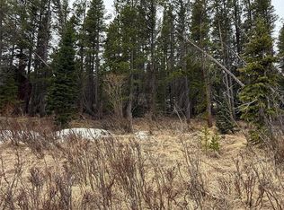 111 Silver Creek Road, Idaho Springs, CO 80452