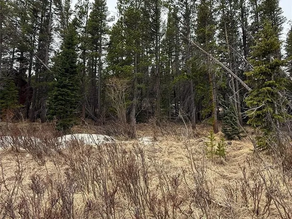 111 Silver Creek Road, Idaho Springs, CO 80452