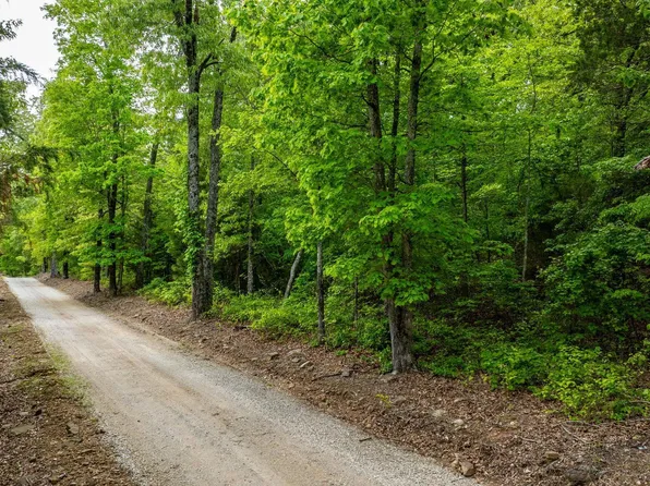 1505 Brushy Creek Rd, Mountain View, AR 72560