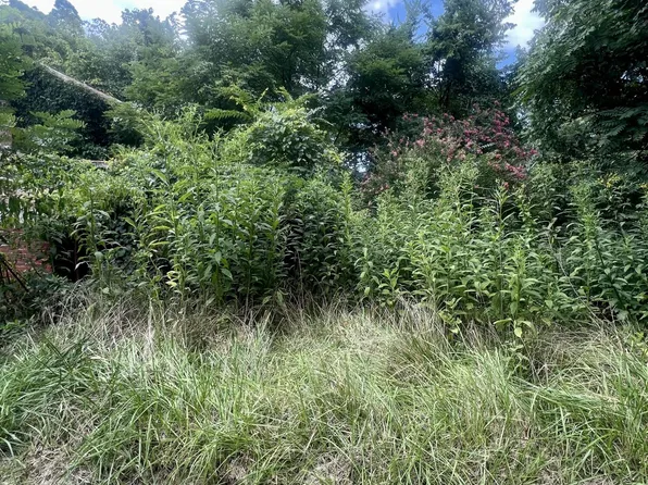 178 Williams Ln, Buchanan, VA 24066