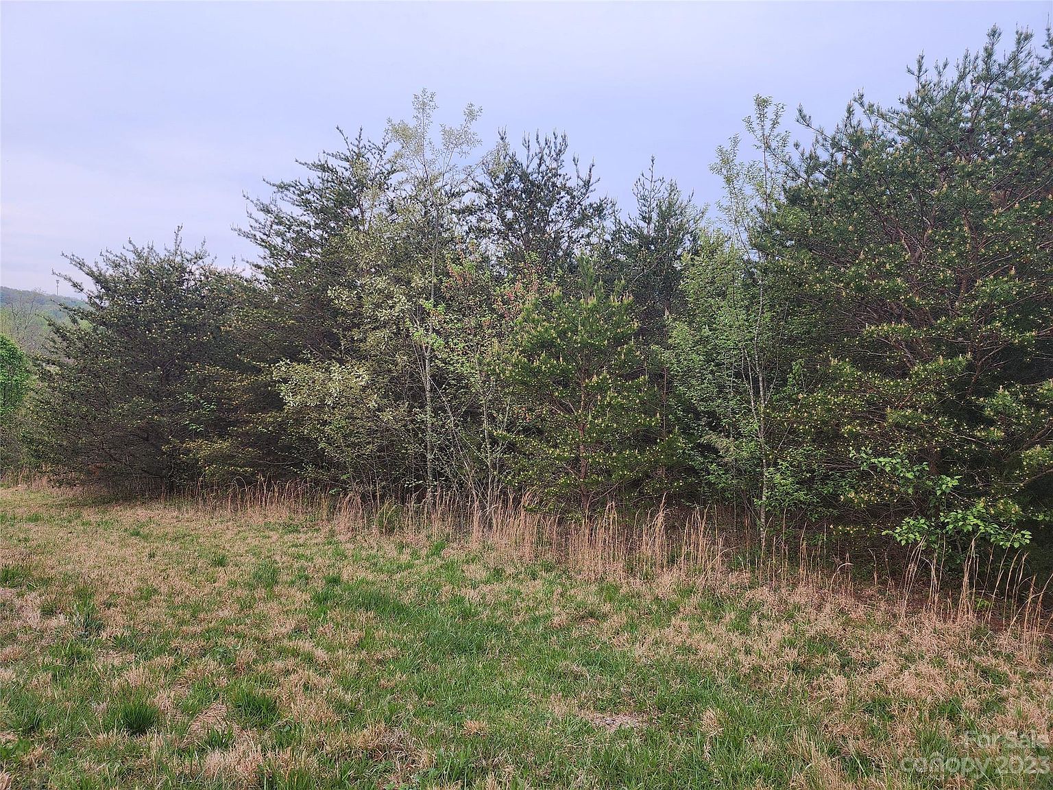 0 Brett Will Ct 31, Taylorsville, NC 28681 MLS 4018022 Zillow