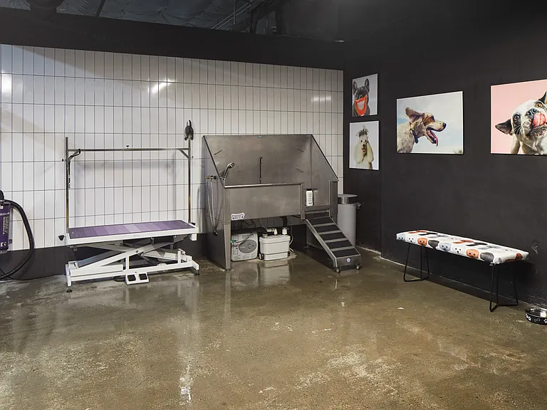 Griffis Lake Washington Pet Washing Station