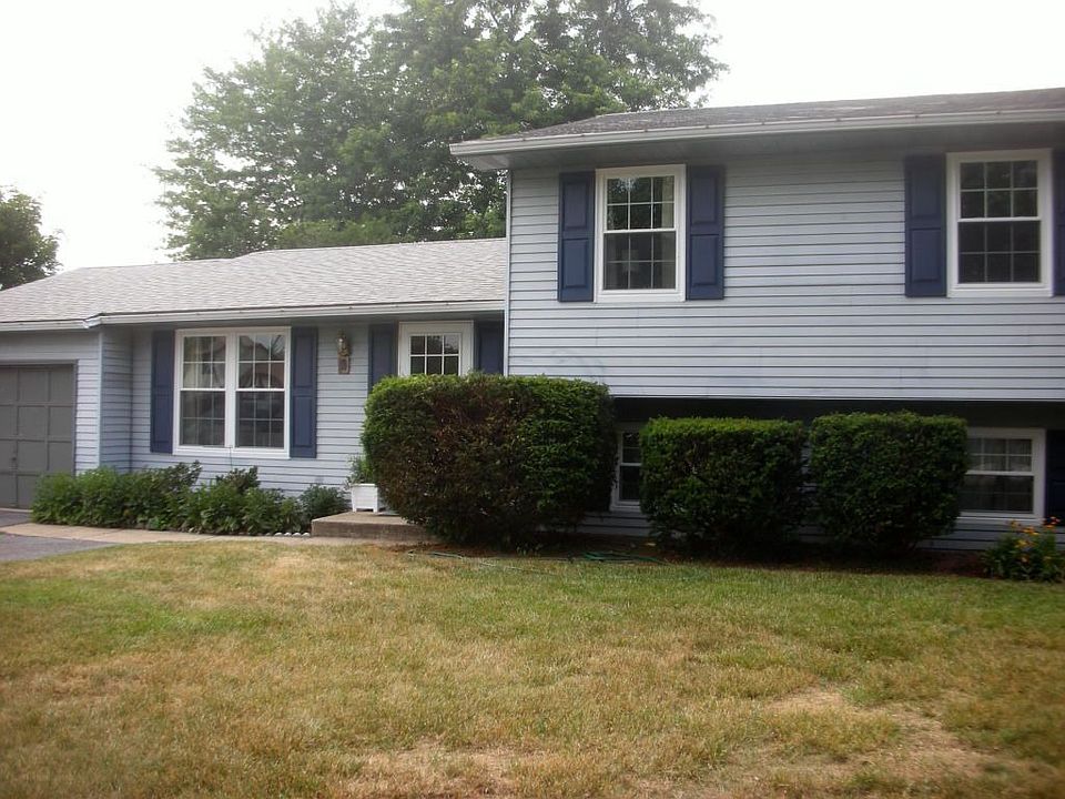 The Front