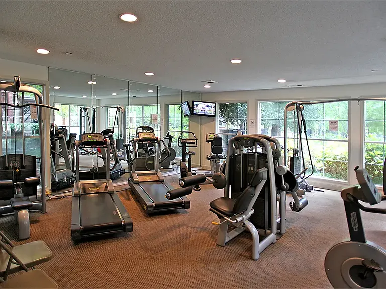 Gym + Sauna