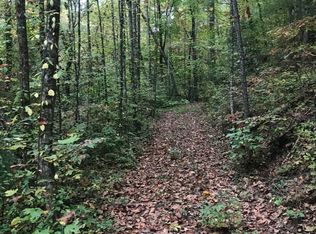 37 Sunflower Ct, Ellijay, GA 30540