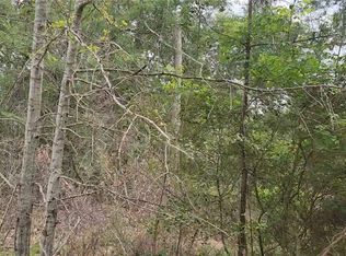 LOT 10 Sweetleaf Ln, Plantersville, TX 77363