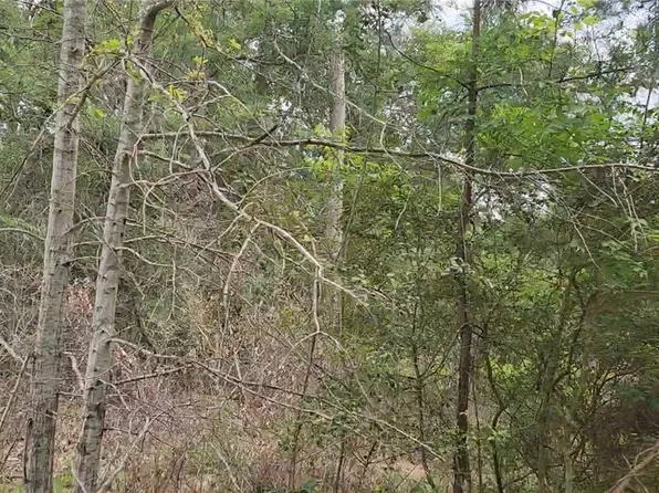 LOT 10 Sweetleaf Ln, Plantersville, TX 77363