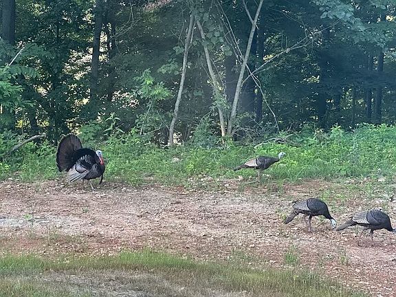 90th image of this home