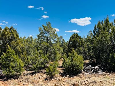 3585 Meadow Wood Dr, Happy Jack, AZ, 86024